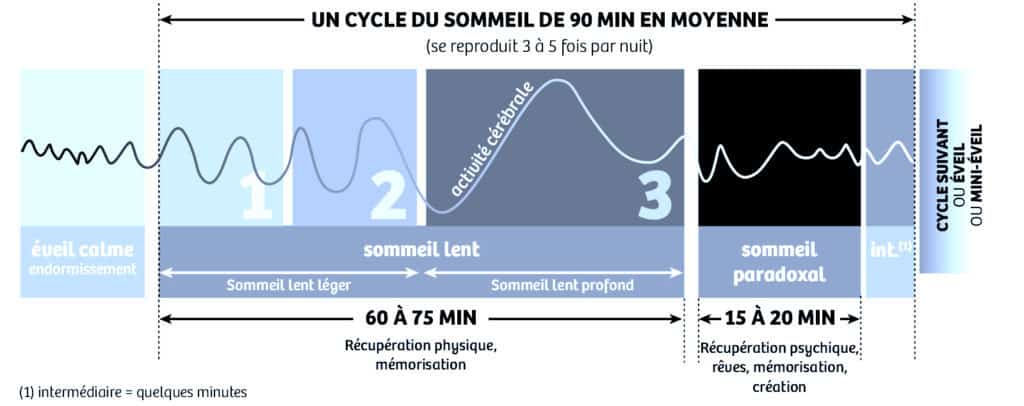 Comprendre le cycle du sommeil remede insomnie