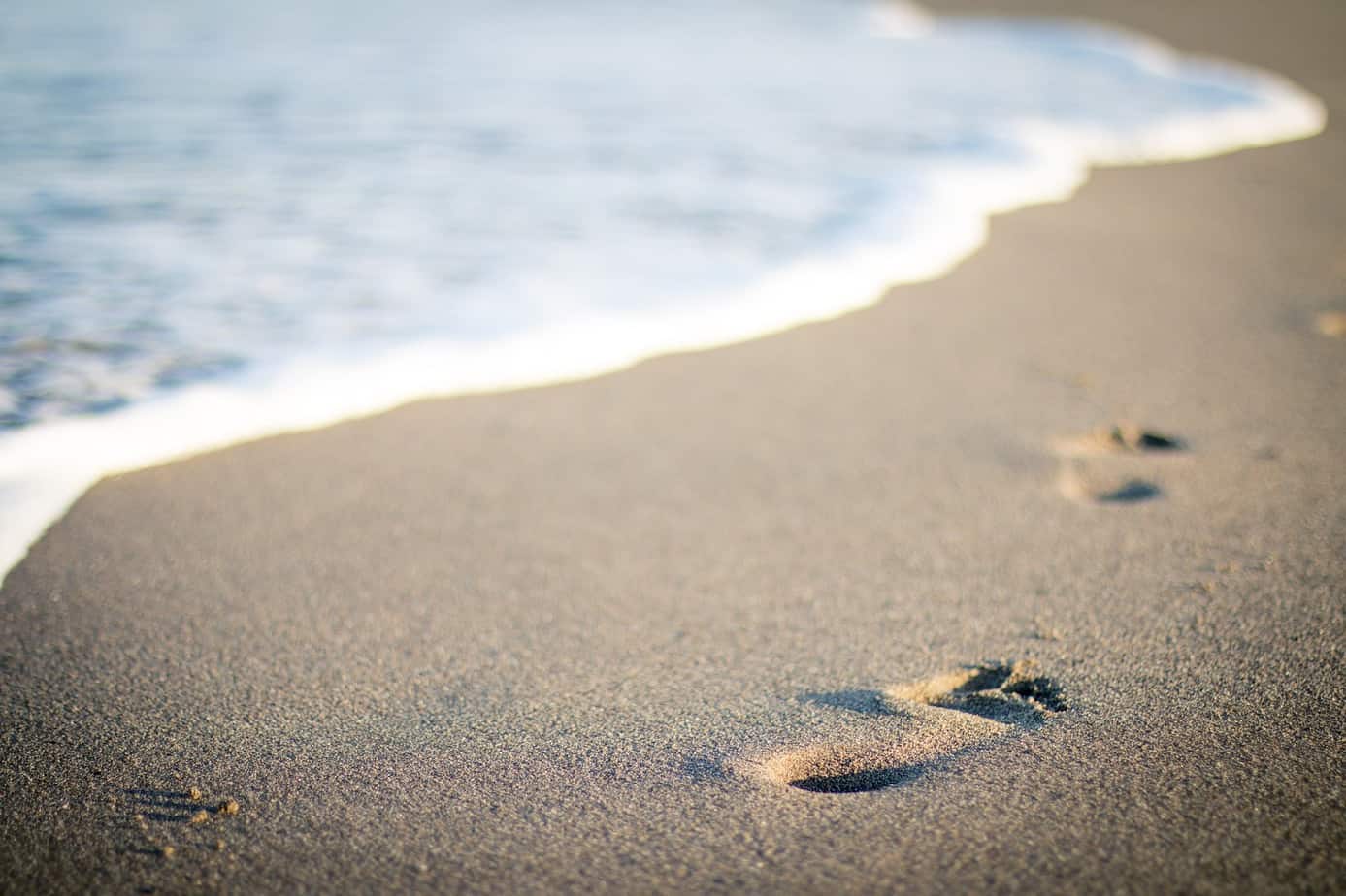 plage cocotier paradisiaque ballade